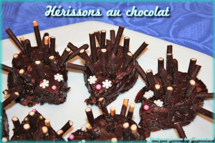 hérissons au chocolat zoom