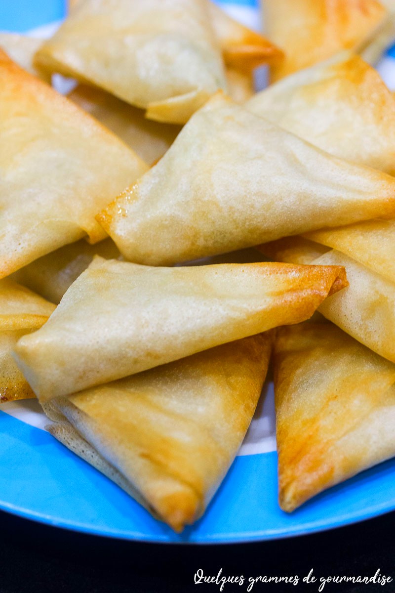 Samoussas poireaux saumon fumé