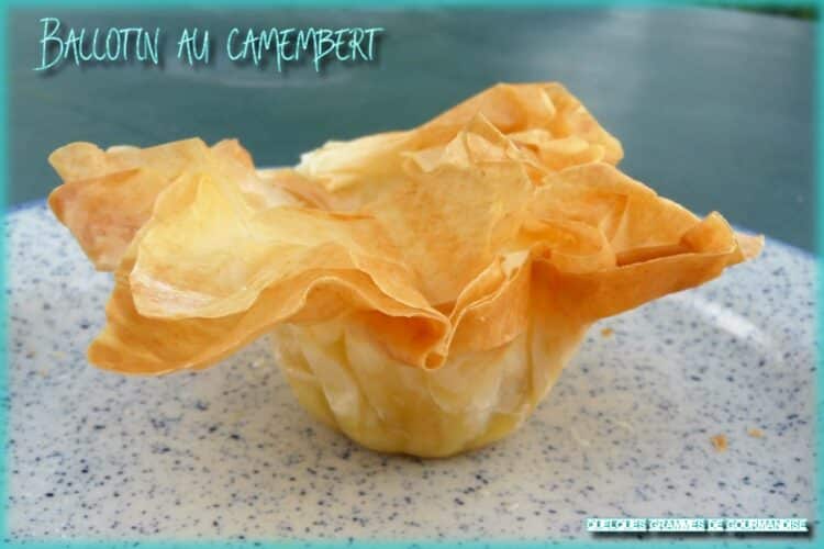 ballotin au camembert vue de profil