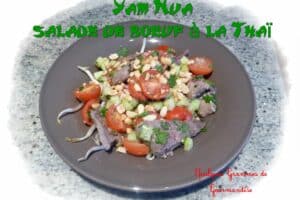 yam nua, salade de boeuf à la thaï