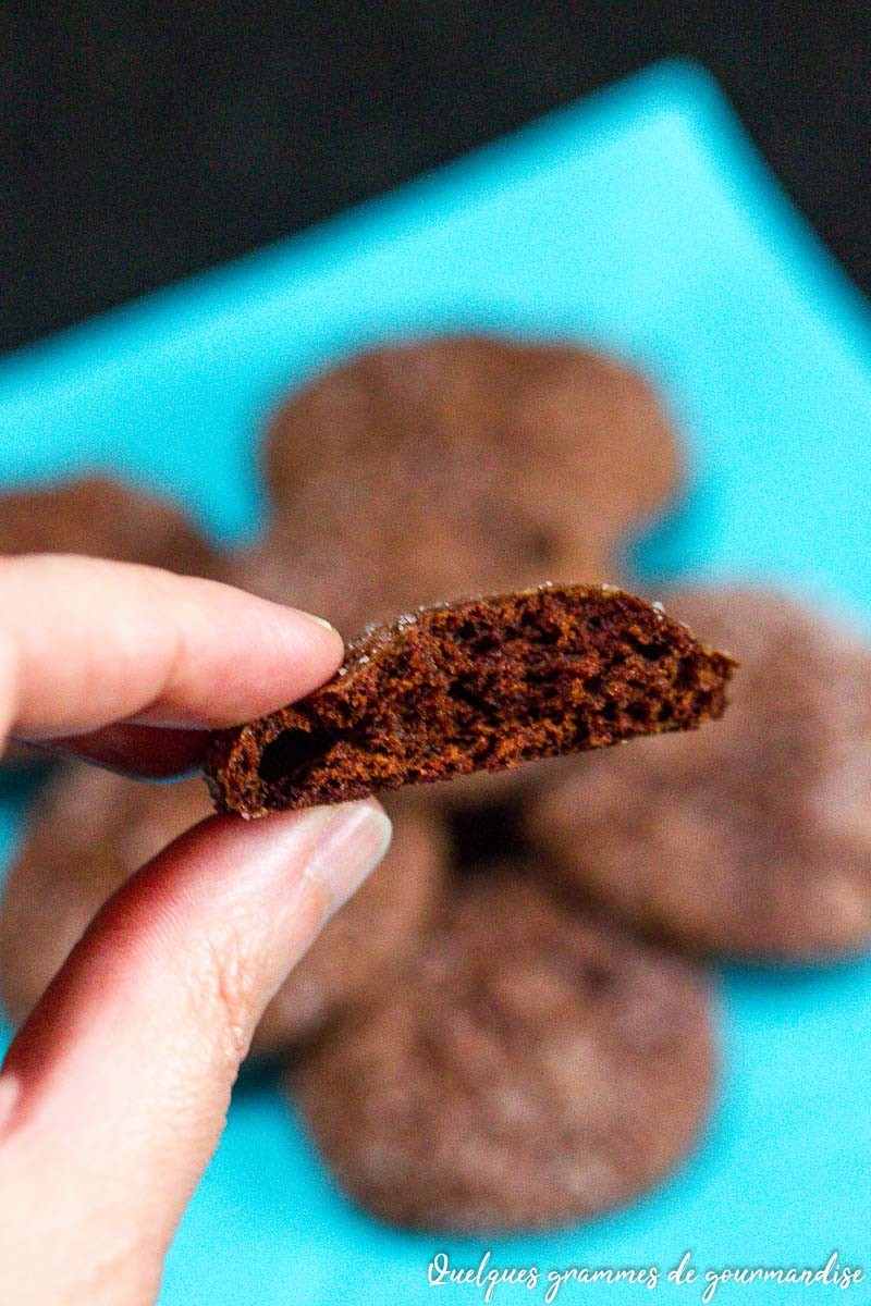 Biscuits craquelés au chocolat de Martha Stewart