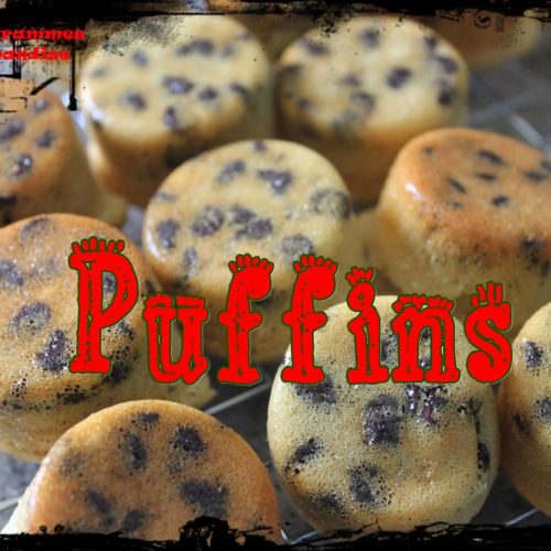puffins1