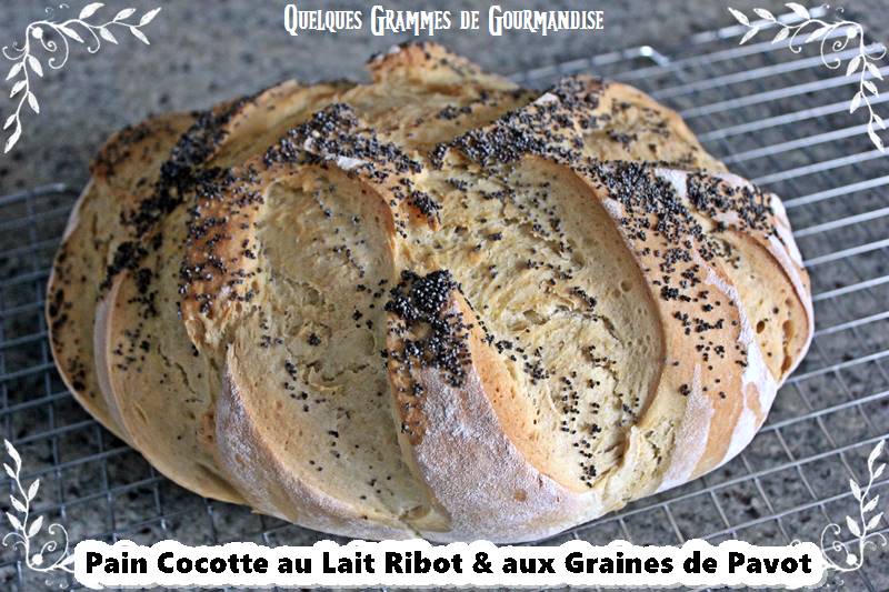 pain cocotte au lait ribot