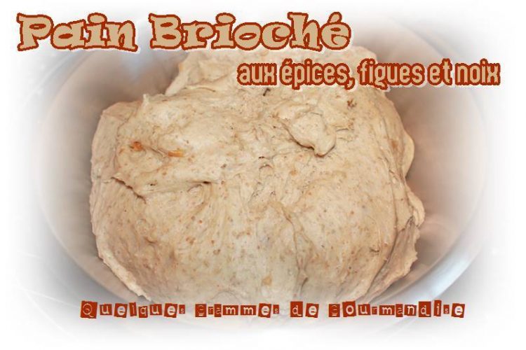 pain brioché aux épices figues et noix