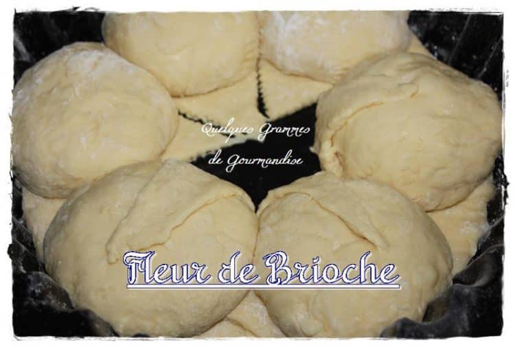 fleur de brioche