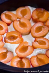 Fondant aux abricots