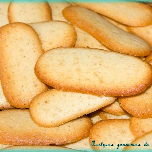 langues de chat thermomix zoom