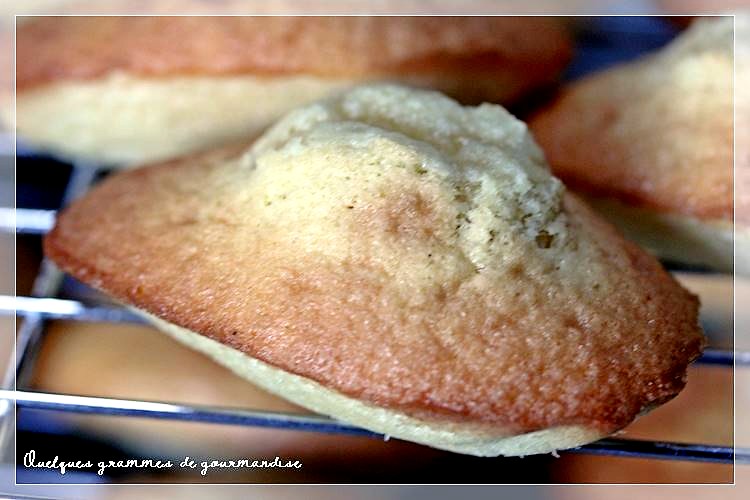 madeleines commercy thermomix zoom