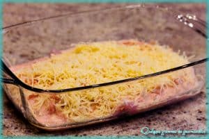 escalopes de dinde gratinées sauce tomate