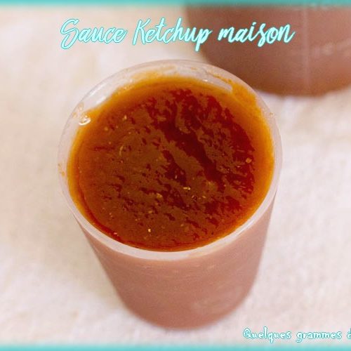 ketchup maison thermomix zoom