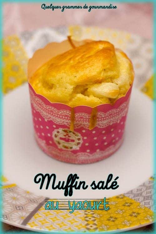 muffins sales yaourt portrait