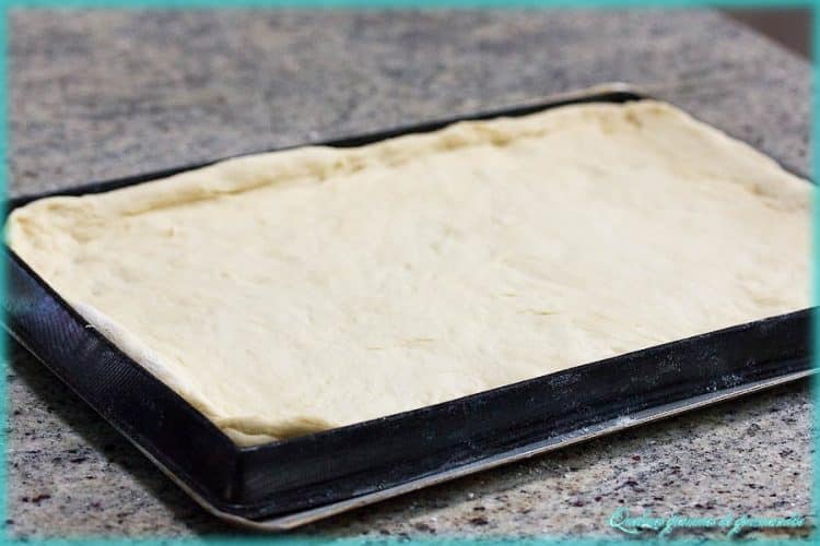 pate pizza epaisse thermomix faconnage