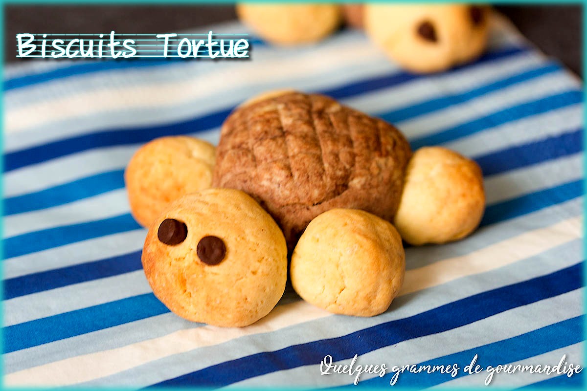 biscuits tortue