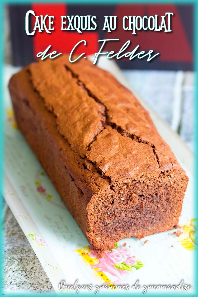 Cake exquis au chocolat (Felder)