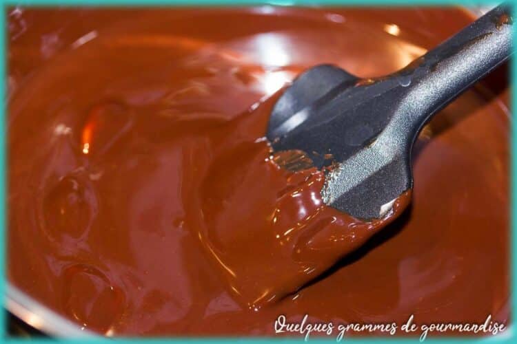 fondant au chocolat sans oeuf mélange beurre chocolat