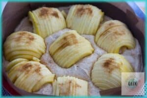 Gâteau aux pommes moelleux