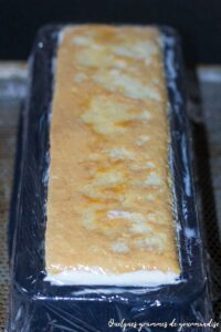 Bûche vanille citron
