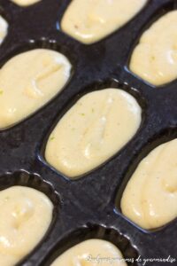 Madeleines de Philippe Conticini