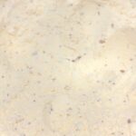 Pâte sablée sans sucre ajouté aux graines