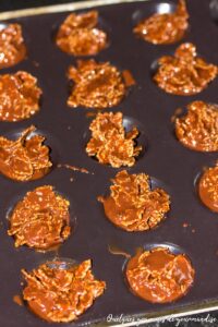 Roses des sables